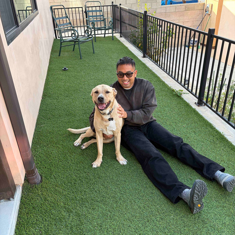 WABM Weekly 001 - Going Full Time